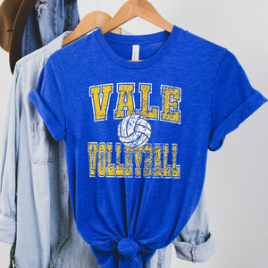 Vale Volleyball - heather royal